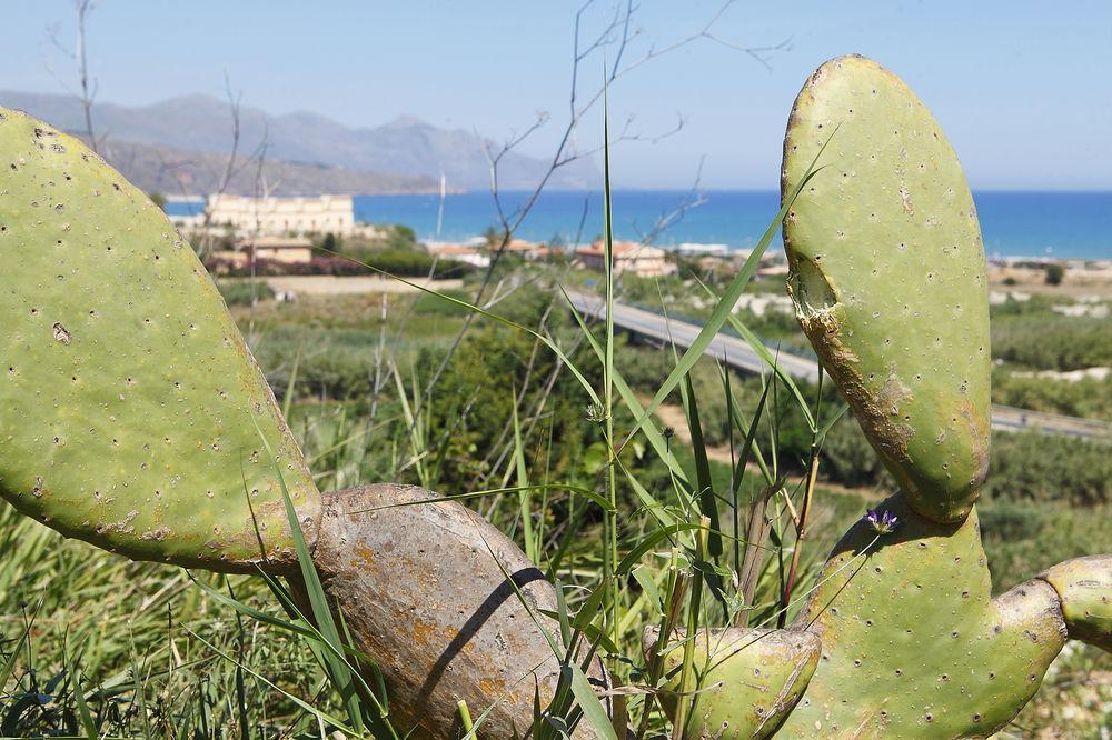 Appartaville Castellammare Del Golfo Ngoại thất bức ảnh
